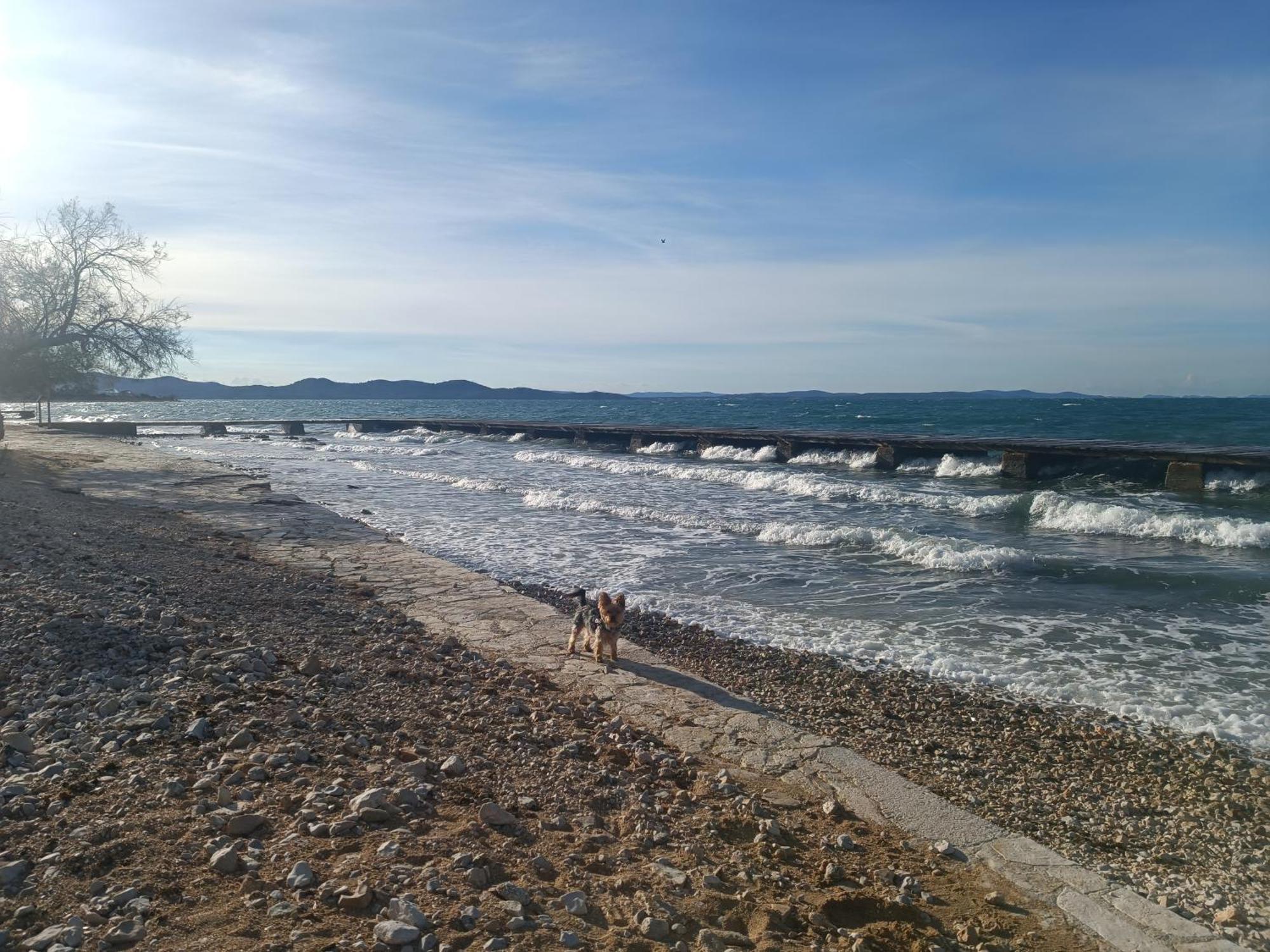 Zadar Beach Apartments Bagian luar foto