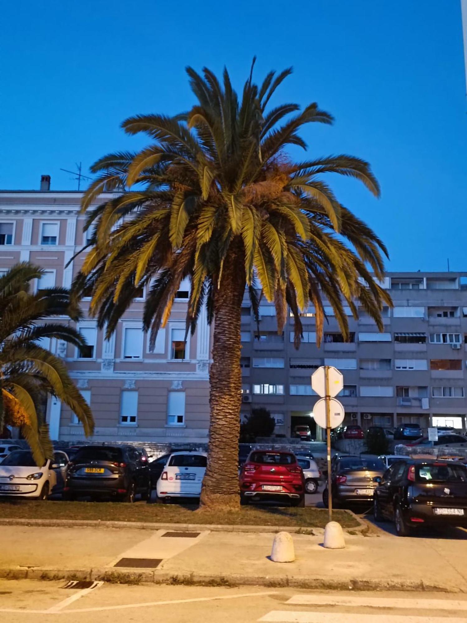 Zadar Beach Apartments Bagian luar foto